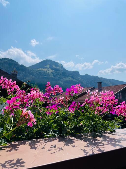Berge, Wandern, Erholung Pur! Fewo Tinka-Haus Katja Bad Hindelang Exteriér fotografie